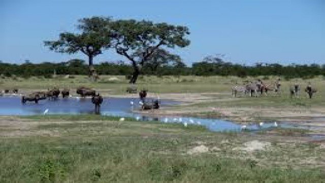 Watch Nature Parks CHOBE RIVER Botswana Online