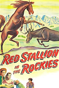 Red Stallion in the Rockies