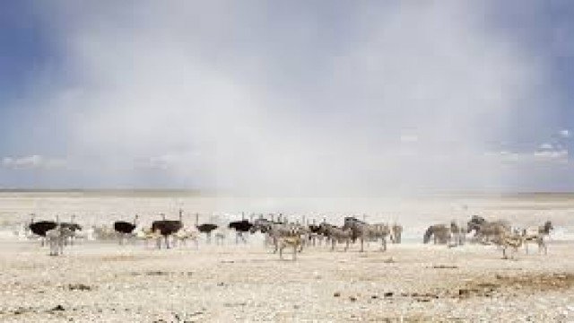 Watch Nature Parks: Etosha, Namibia Online