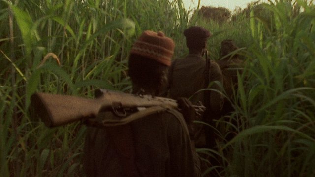 Watch Concerning Violence Online