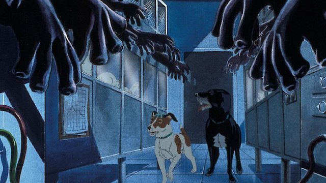 Watch The Plague Dogs Online