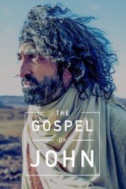 The Gospel of John: New International Version