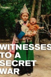Witnesses to a Secret War poster