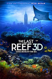 The Last Reef poster