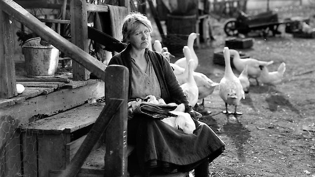 Watch The Goose Woman Online