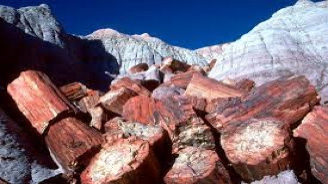 Watch Nature Parks: Petrified Forest Online
