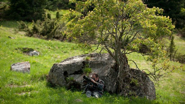 Watch Flirting With Heights Online