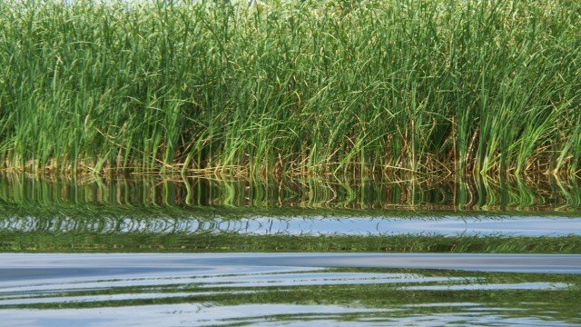 Watch Nature Parks: The Danube - Delta Online