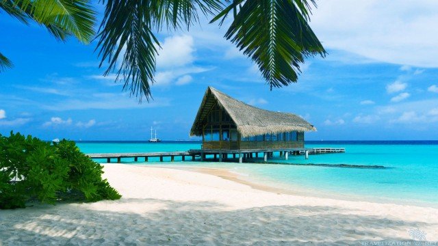 Watch 7 Days: Bahamas Online