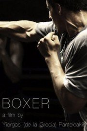Boxer