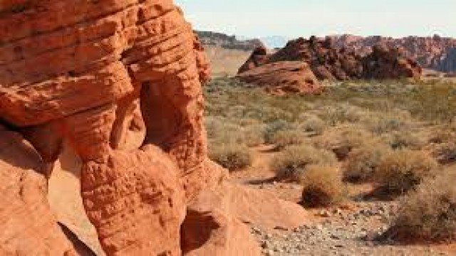 Watch 7 Days: Nevada Online