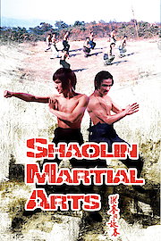 Shaolin Martial Arts poster