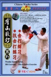 Hitting and Anti-hitting Exercises in Combat