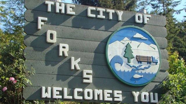 Watch Destination Forks: The Real World of Twilight Online