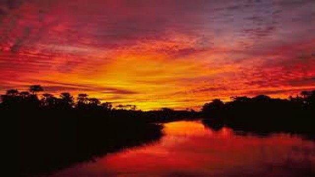 Watch Nature Parks: Okavango Delta Online