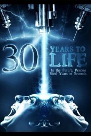 30 Years to Life poster