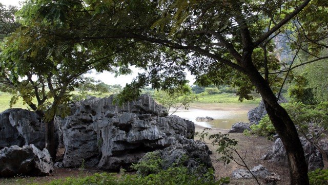 Watch Nature Parks: Cienaga - De Zapata Online