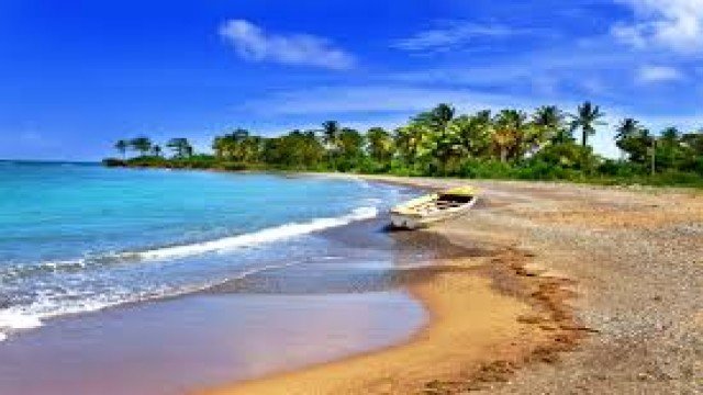Watch 7 Days: Jamaica Online