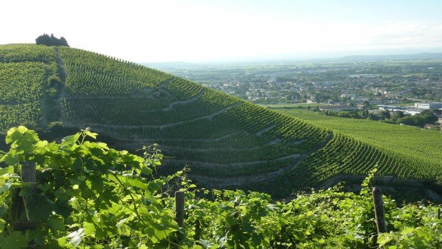 Watch Culinary Travels: The Rhone Valley Online