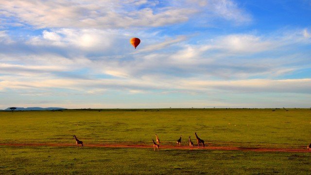 Watch On Tour: African Balloon Safari - A Bird's Eye View Of Africa Online