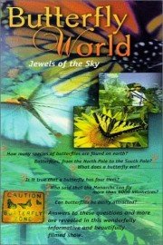 Butterfly World: Jewels Of The Sky poster