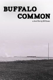 Buffalo Common poster