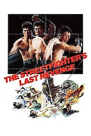 The Street Fighter's Last Revenge poster