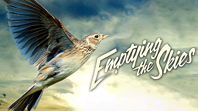 Watch Emptying the Skies Online