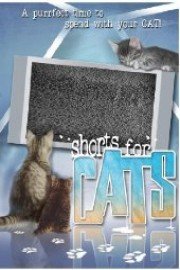 Shorts for Cats poster