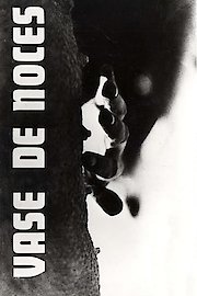 Vase de Noces poster
