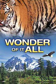 Wonder of It All poster