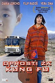 Sorry For Kung Fu poster