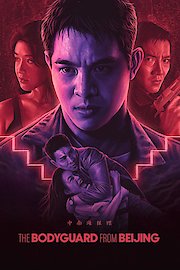 The Defender poster