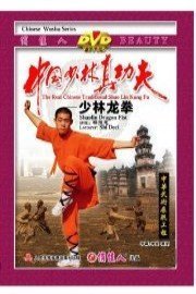 Shaolin Dragon Fist