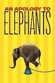An Apology to Elephants poster