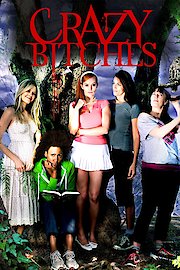 Crazy Bitches poster