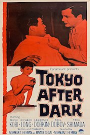 Tokyo After Dark poster