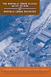 The Buffalo Creek Flood: An Act of Man