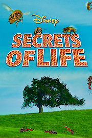 Secrets of Life poster