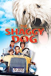 The Shaggy Dog poster