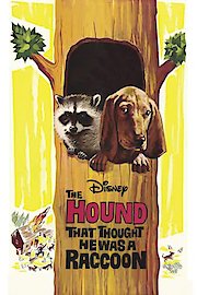 The Hound That Thought He Was a Raccoon poster