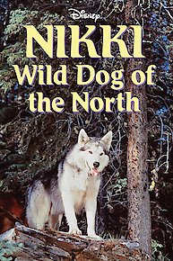 Nikki, Wild Dog of the North