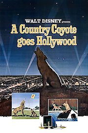 A Country Coyote Goes Hollywood poster