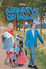 Monkeys, Go Home! poster
