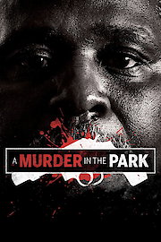 A Murder in the Park poster