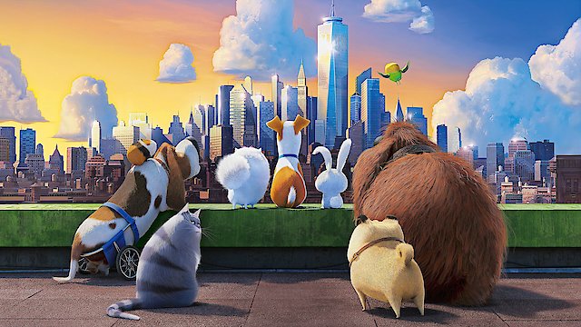 Watch The Secret Life of Pets Online