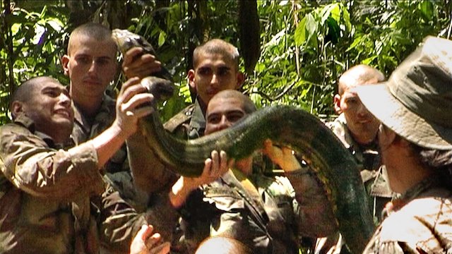 Watch Snake Man Online