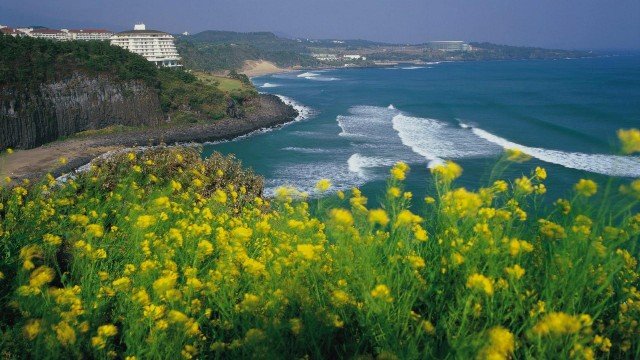 Watch Vista Point JEJU ISLAND Online