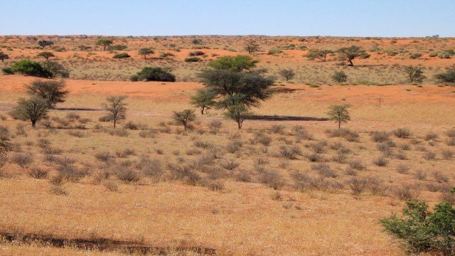Watch On Tour Exploring the Extraordinary: Kalahari Online