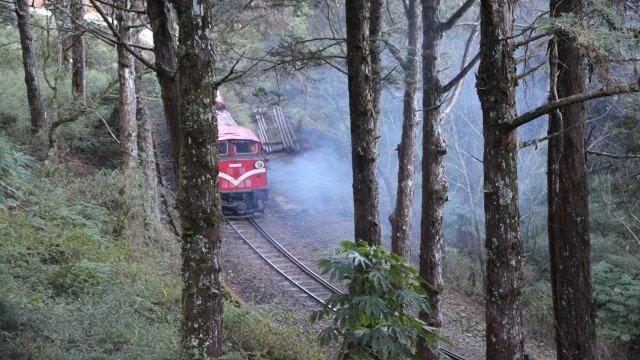 Watch On Tour Exploring the Extraordinary: The Alishan Forest Railway Online